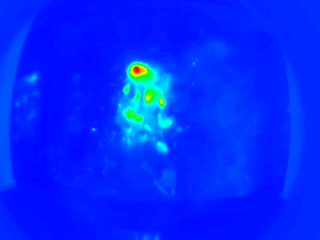 Image du capteur thermique de la Wasoria Box